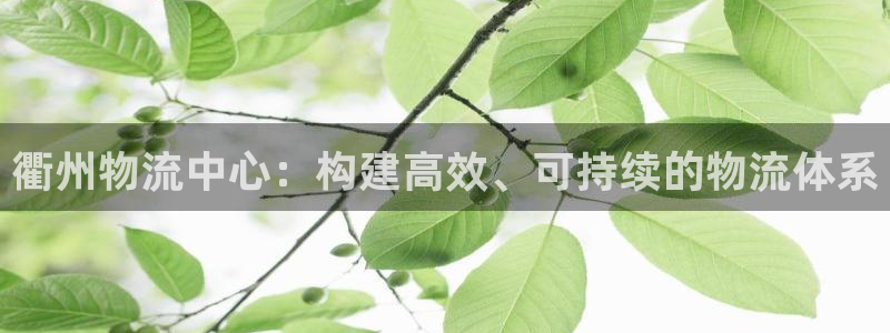 FH至尊开户链接
