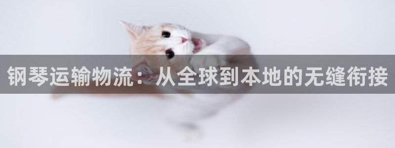 FH至尊VIP