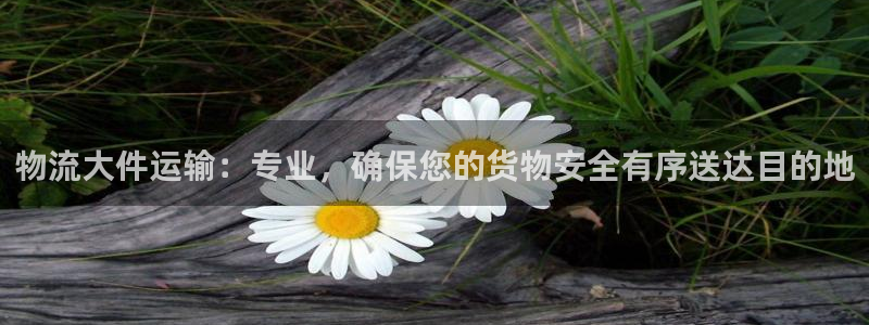 fh至尊20