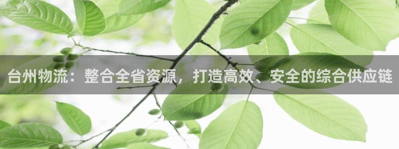 fh至尊游戏代理